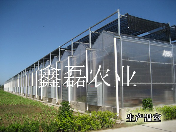 陽(yáng)光板溫室